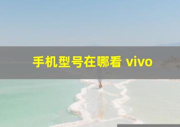 手机型号在哪看 vivo